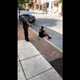 Illustration for article titled Cop Caught on Video Firing Taser at a Calm, Nonviolent, Compliant Man Who Was Sitting on a Curb